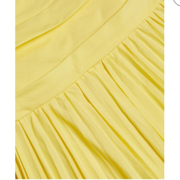 SIMKHAICaroline Pleated Midi A-Line Dress - Picture 3 of 5
